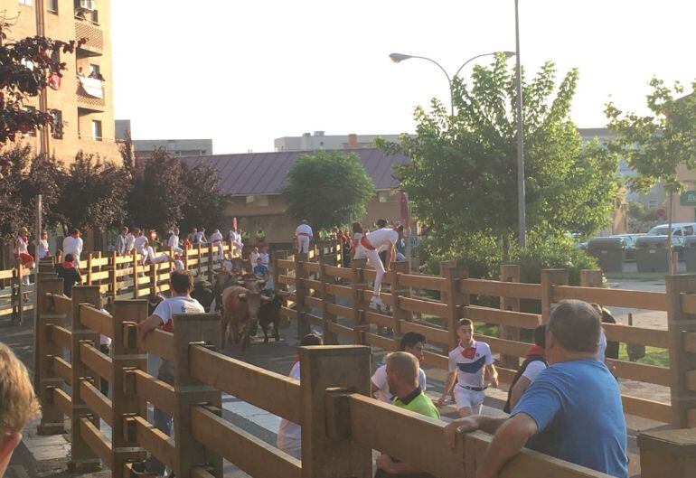 Segundo encierro fiestas de Tudela