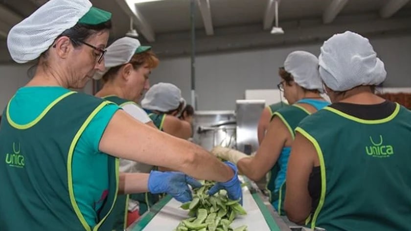 Empleadas de la cooperativa Unica Group.