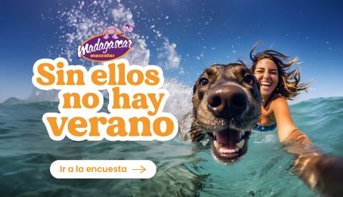 Campaña &quot;Sin ellos no hay verano&quot; de Madagascar Mascotas