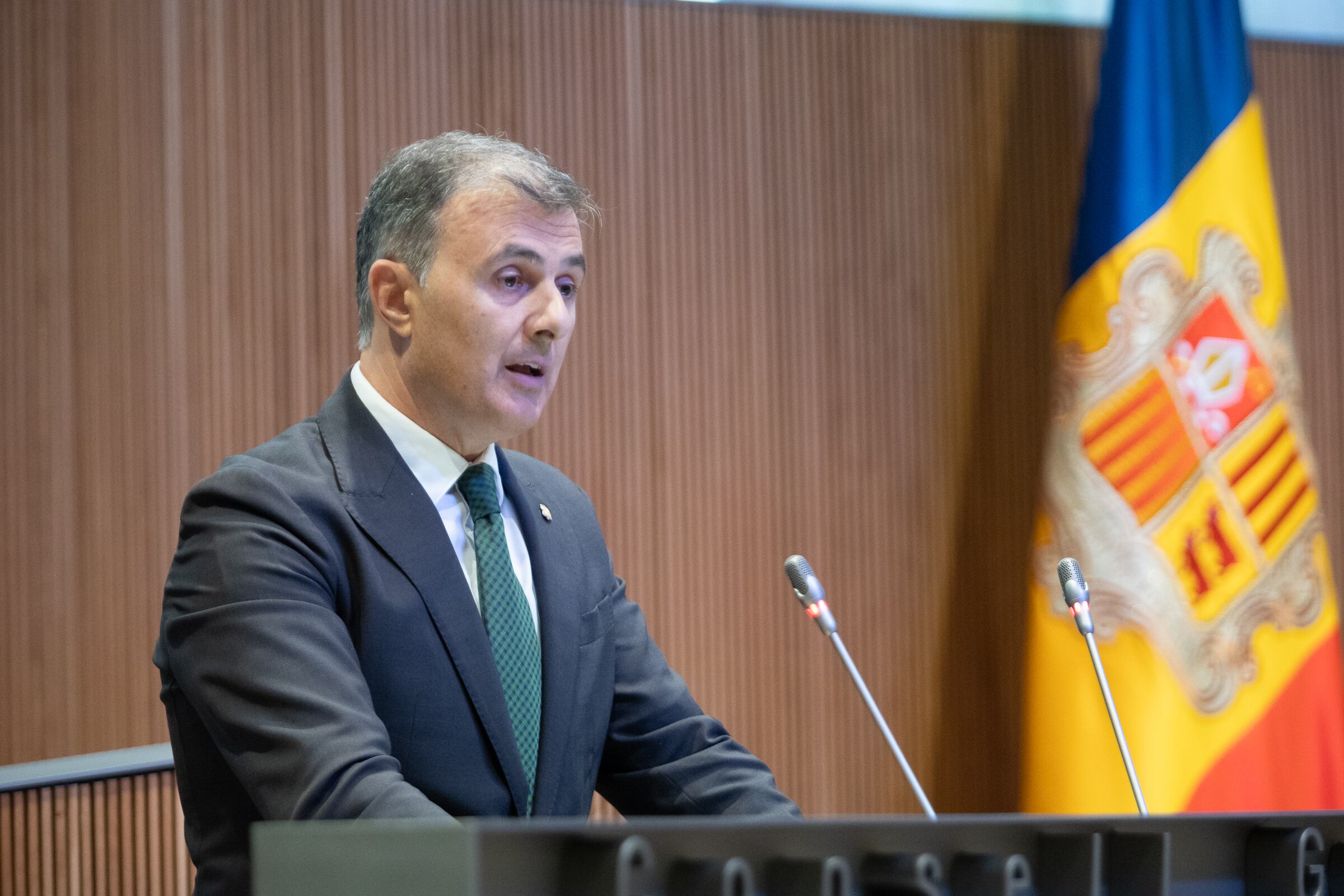 l ministre de Funció Pública i Transformació Digital, Marc Rosell, durant la sessió al Consell General.