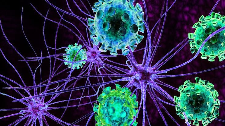 Entrevista en la Ventana a la gerente de la Asociación Parkinon Valencia, Barbara Gil