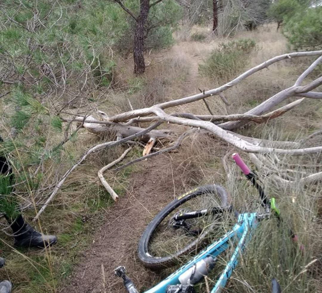 Obstáculos en caminos de Carbonero el Mayor