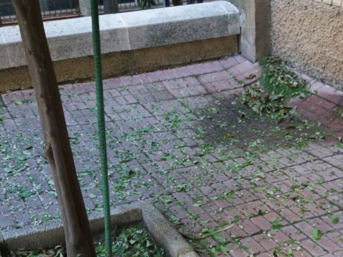 "Hay calles y plazas en nuestro barrio que amenazan ruina"