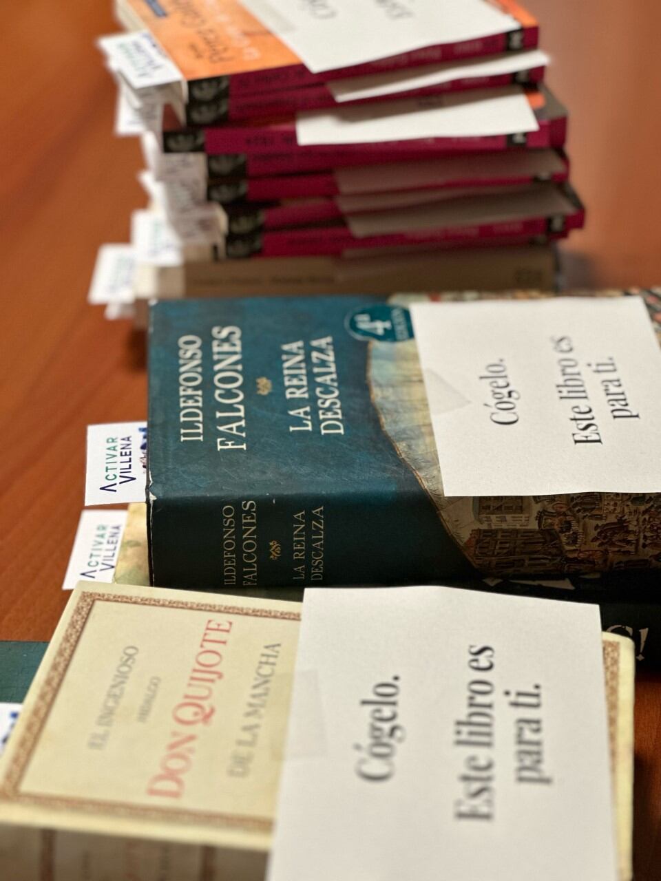 Libros entregados en la campaña