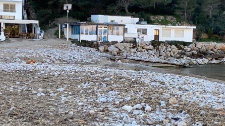 Costas debe encargarse de la restauración de la Playa.