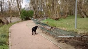 El parque ha sufrido los rigores del temporal