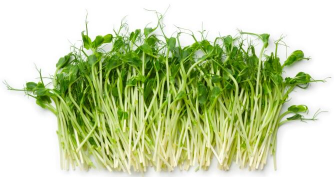 "Ni las acelgas hervidas son el plato estrella ni los vegetarianos se alimentan exclusivamente de lechuga y zanahoria".