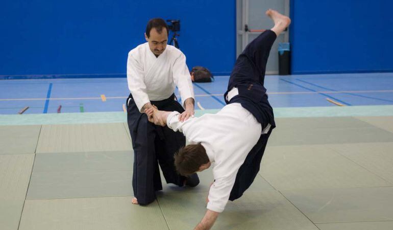 El Aikido es un arte marcial que aprovecha la energía del atacante hasta dejarle reducido armónicamente sin lesionarle 