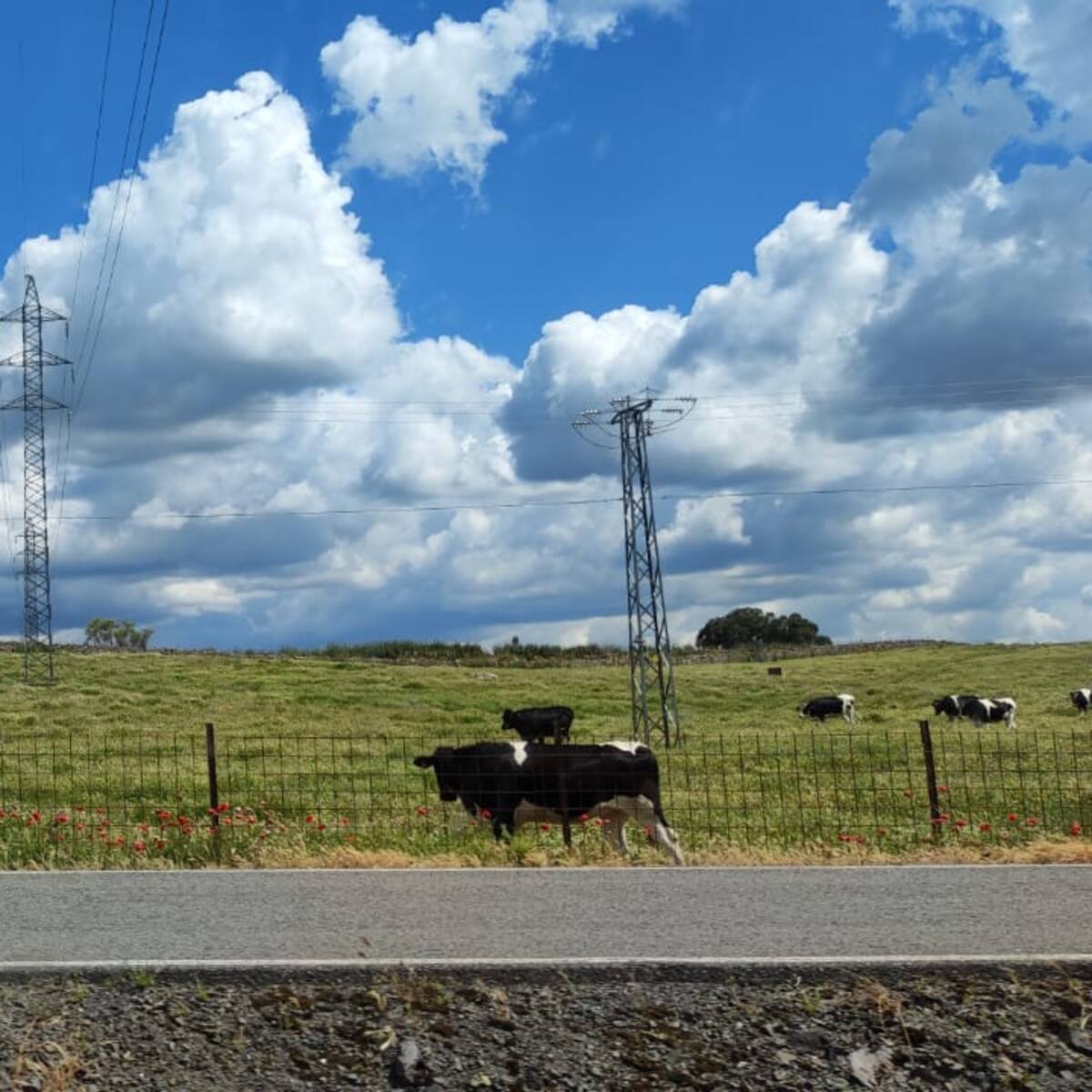 El Gobierno invertirá 115 millones de euros para reforzar el suministro eléctrico en el norte de Córdoba