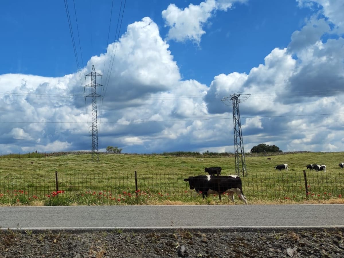 El Gobierno invertirá 115 millones de euros para reforzar el suministro eléctrico en el norte de Córdoba