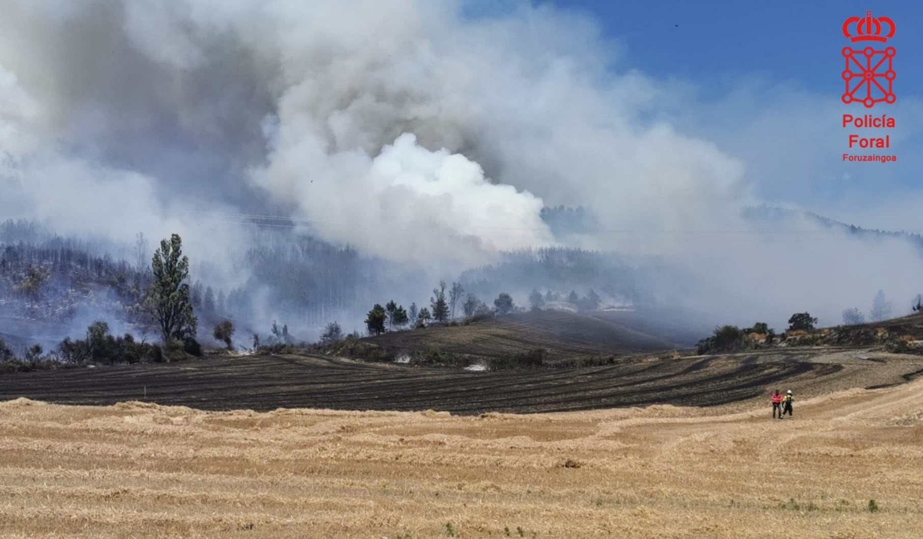 Incendio forestal en Olloki