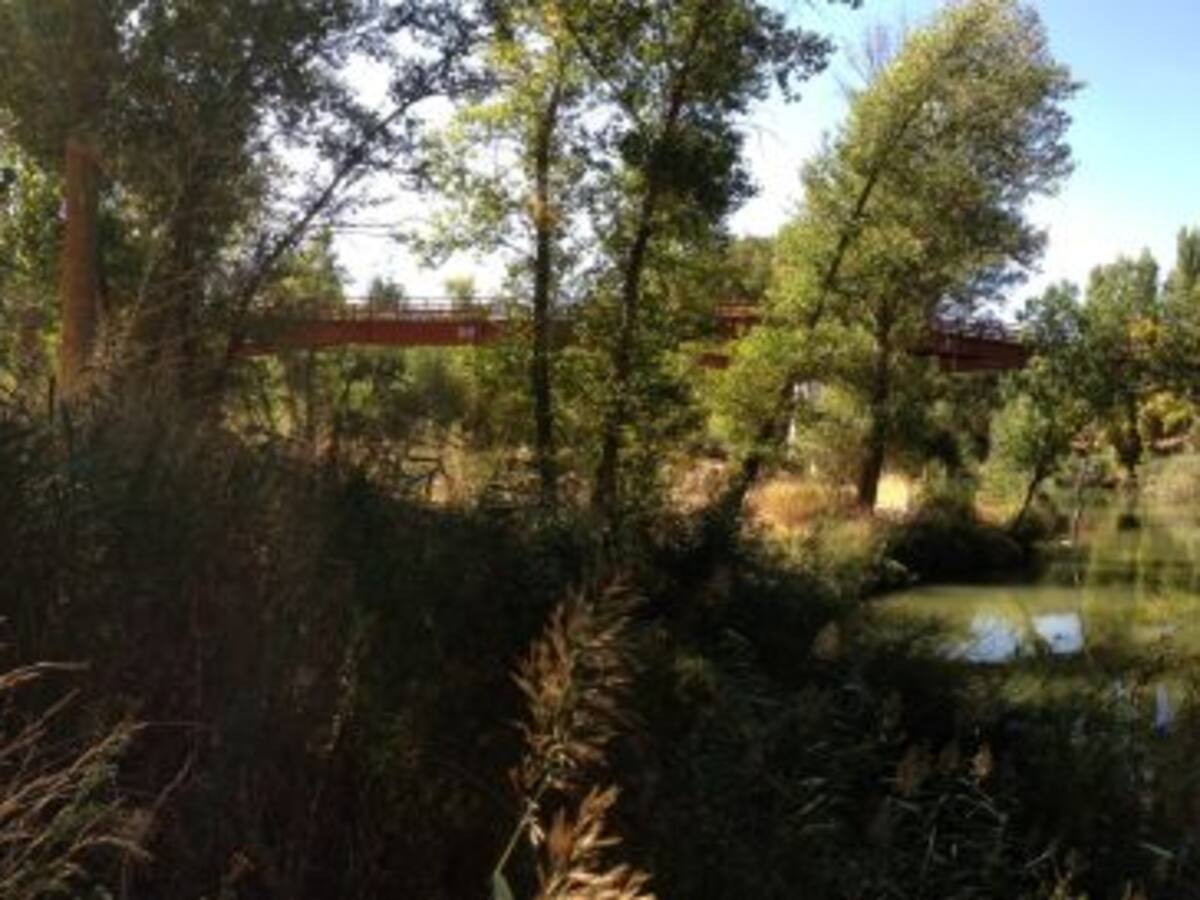 Ocho paseos por la naturaleza