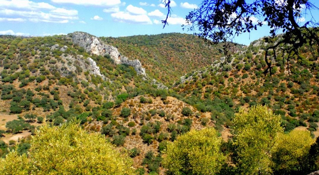 Paisaje típico de Sierra Morena