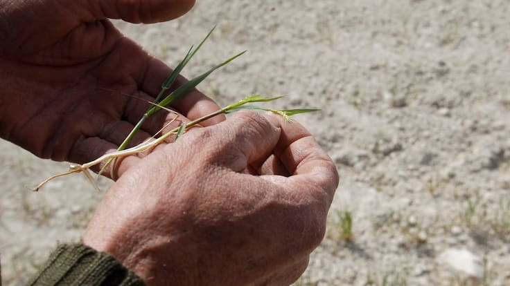 Carles Peris: "Necesitamos saber si conseguimos esa ayuda"