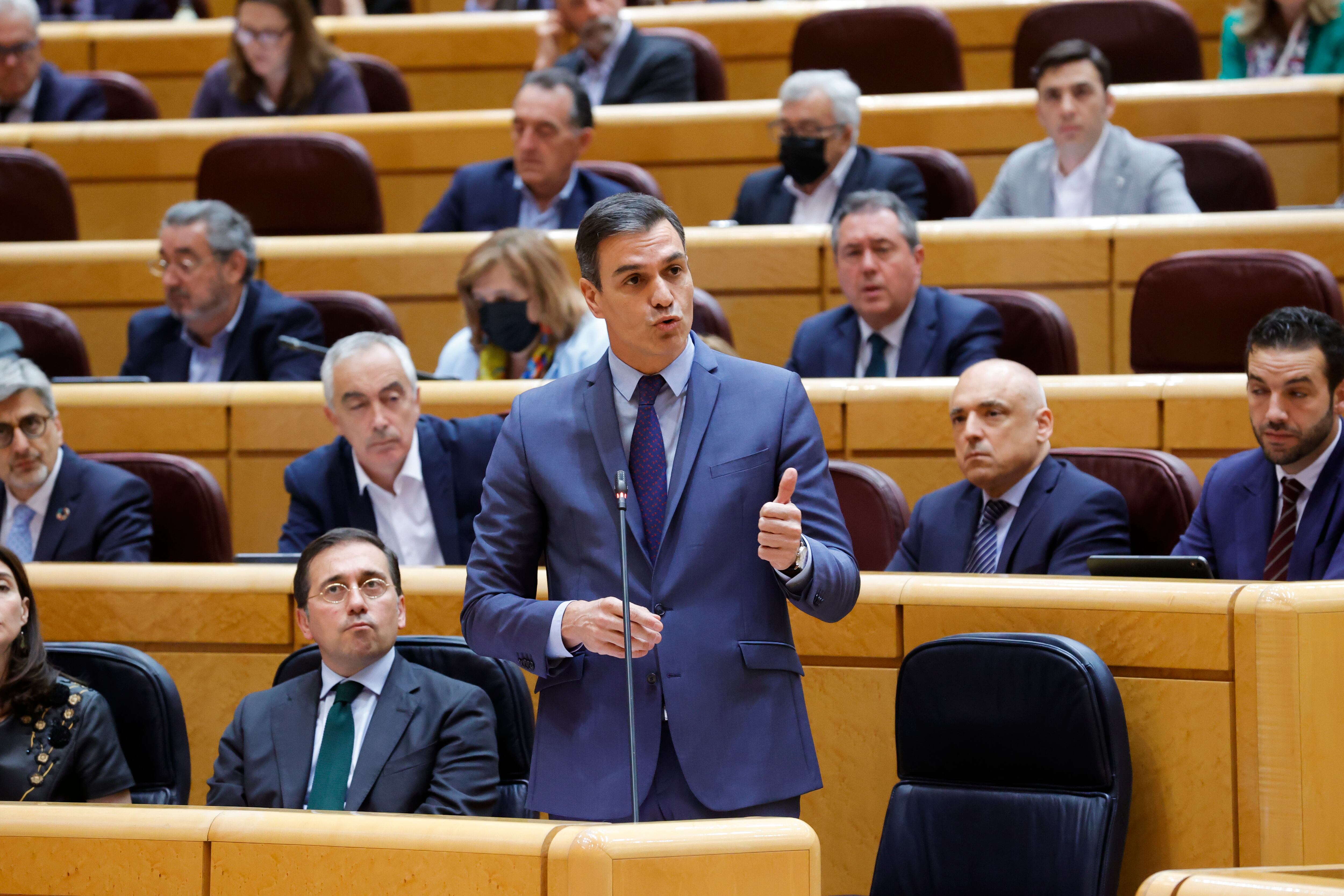 GRAF9166. MADRID, 26/04/2022.- El presidente del Gobierno, Pedro Sánchez, durante su intervención en la sesión de control del Senado, este martes en Madrid. EFE/ Zipi
