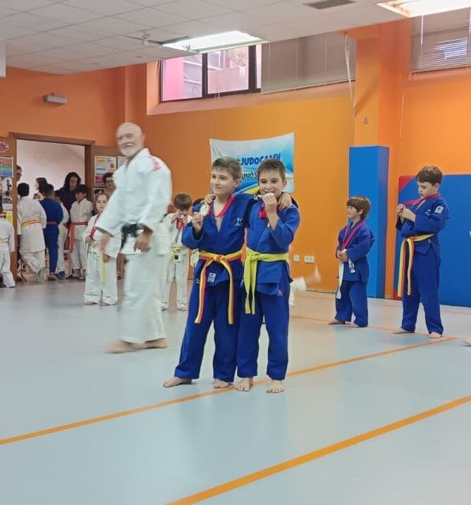 Judo Camv Villena