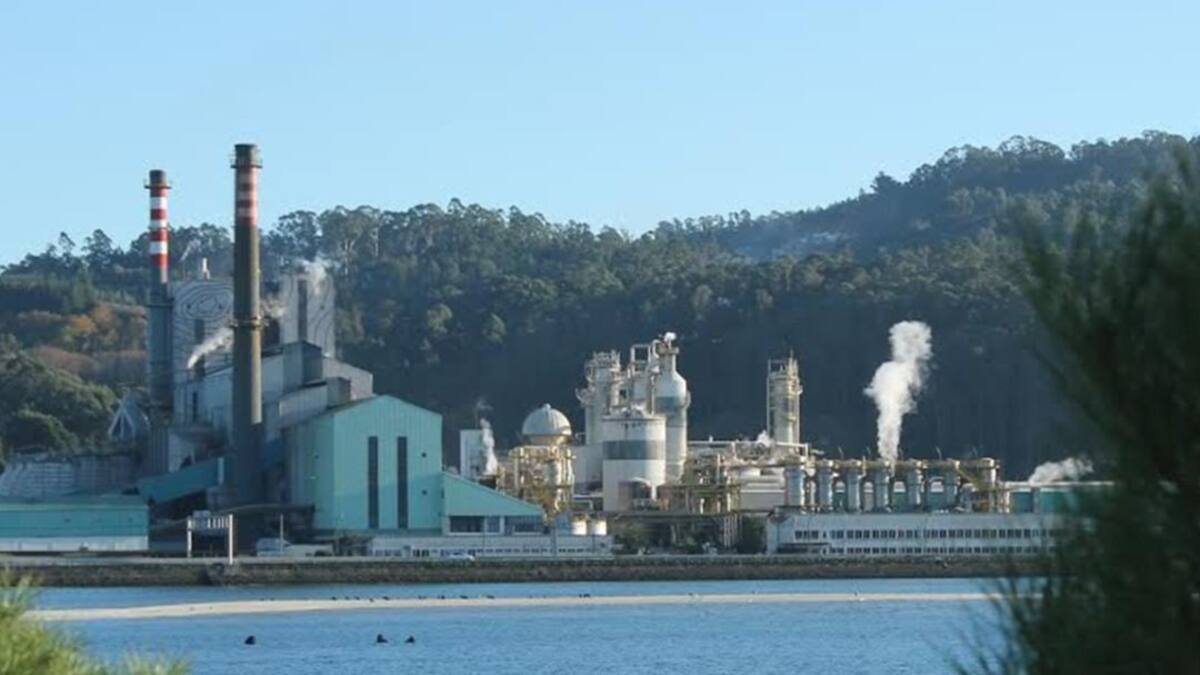 Hora 14 Pontevedra (27/03/2019)