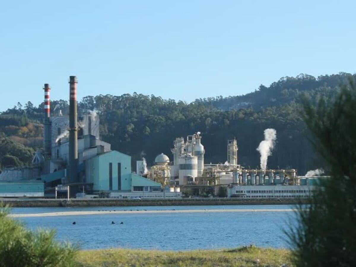 Los trabajadores de Ence afirman que la abogacía del Estado cambió de opinión con respecto a la prórroga