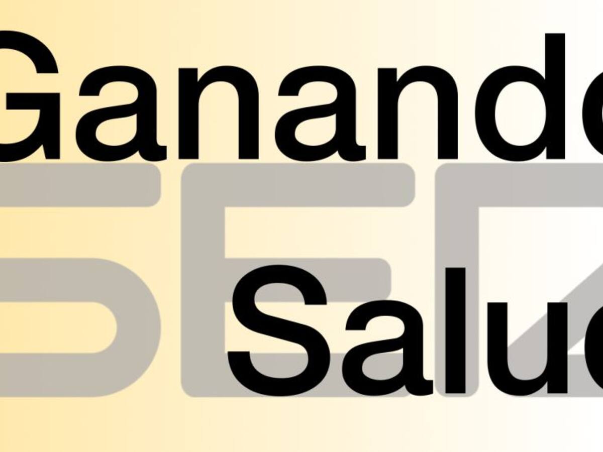 Actividades en el Día Internacional del Mayor