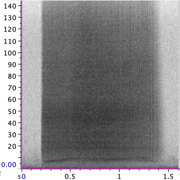 Espectrograma del bebé Kylu