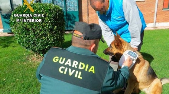 La Guardia Civil ha desarrollado la Operación Can en Castilla y León