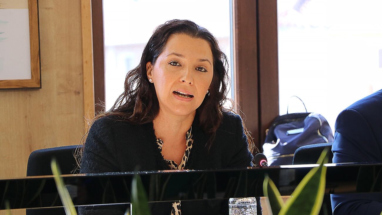 Elizabeth Belda, concejala de Salud de Elda, ha defendido la moción en el pleno