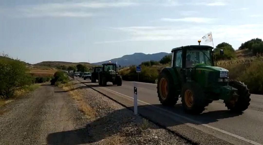 Movilización olivareros