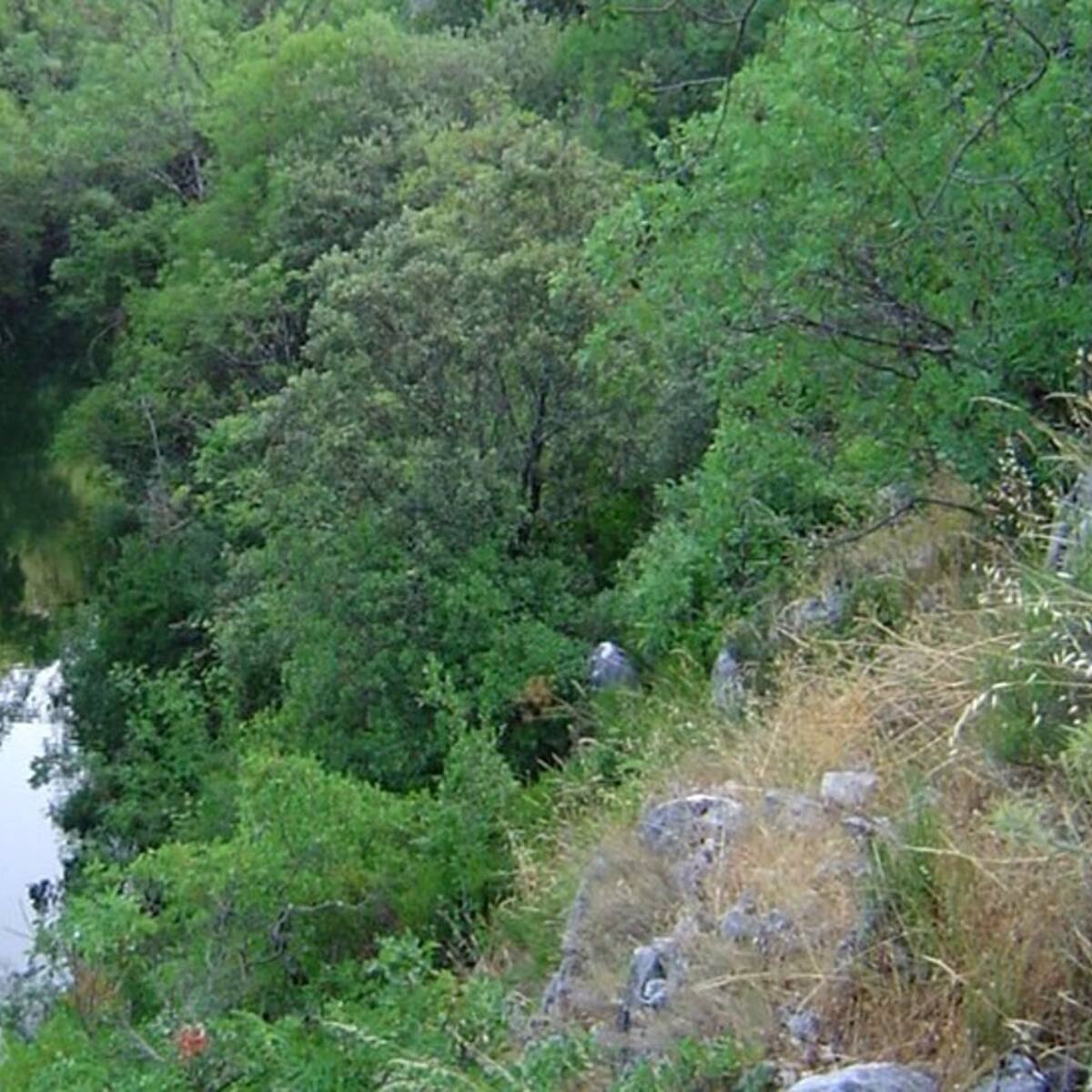 Rescatado un joven accidentado en la Cerrada del Utrero, en Cazorla