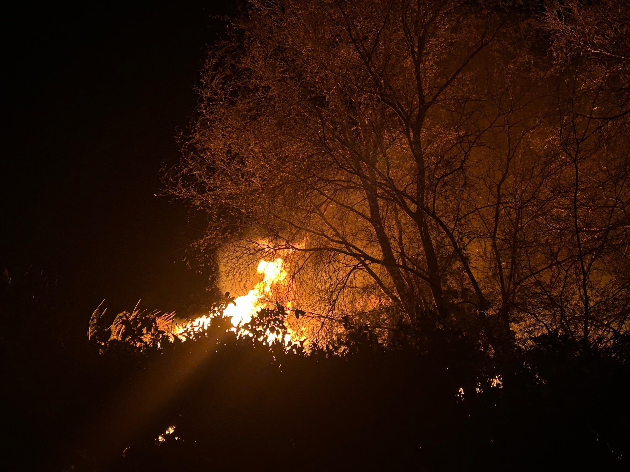 Incendio en Carcaixent. Fuente: Ajuntament de Carcaixent