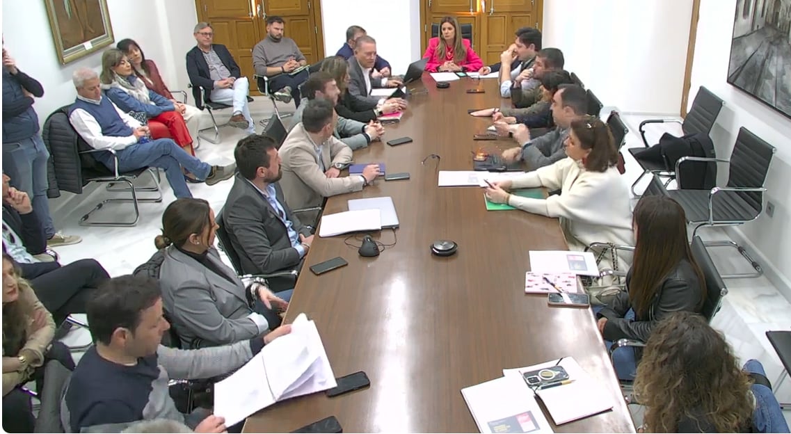 Momento del pleno extraordinario del Ayuntamiento de Linares