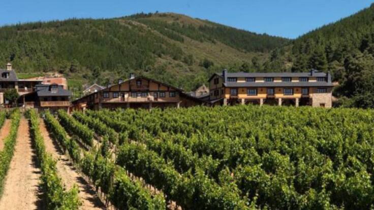 Un paseo por la vendimia del Bierzo