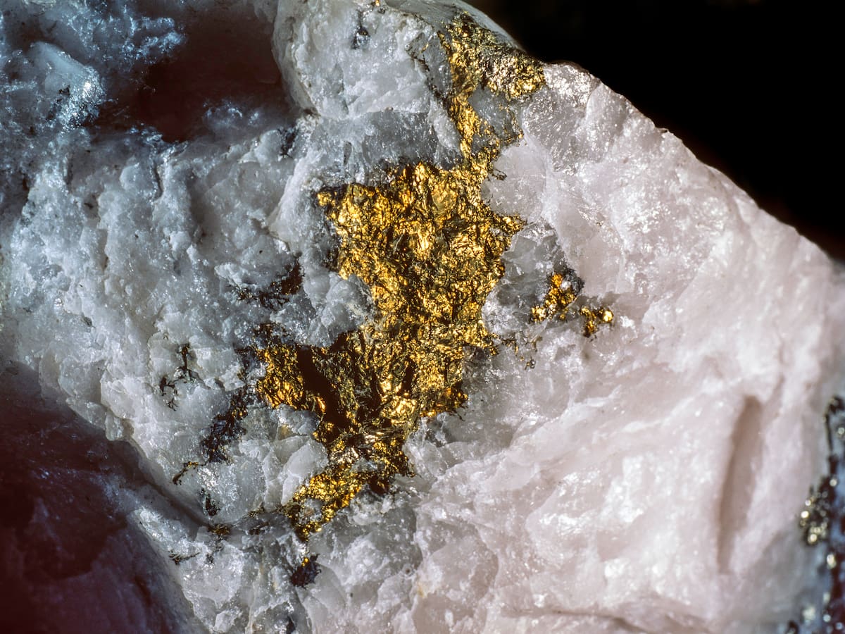 Expectativas y realidades sobre la búsqueda de oro en Cármenes