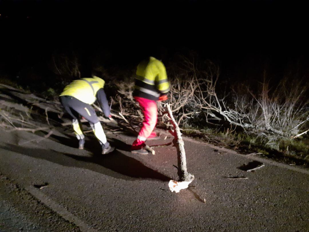 Los operarios de la Diputación retiran ramas en una de las carreteras afectadas por el vendaval