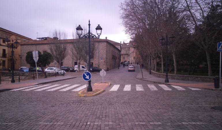 Paso de peatones en la Avenida de Portugal