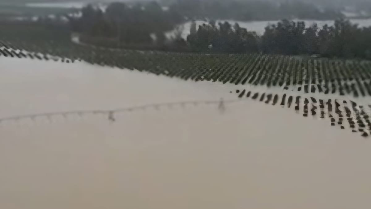 Se mantiene el desalojo de 650 vecinos de la zona rural de Jerez al no bajar el caudal del Guadalete