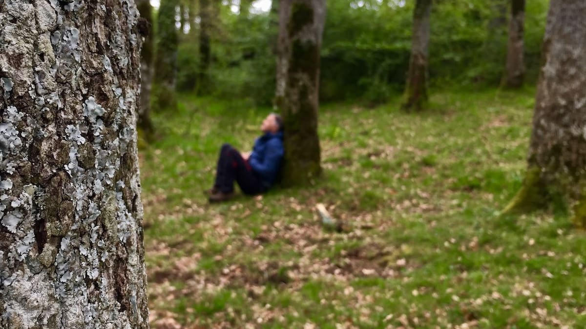 Baños de bosques (04/05/2022)