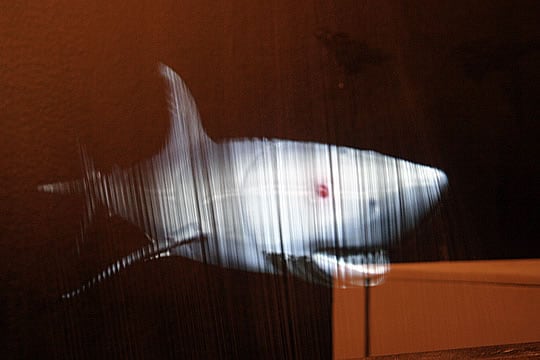 El "tiburón de en medio del aire" es una escultura prototipo 3D del artista Ximo Lizana; pionera en el mundo de la escultura virtual digital. Se trata de un tiburón-robot nadando sobre una finas tiras de humo sobre las cuales la imagen está proyectada. De la galería valenciana Punto.