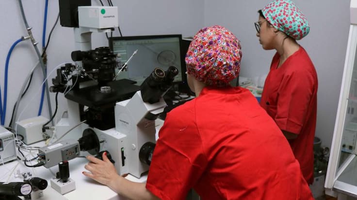 José Mª Rubio, jefe del servicio de reproducción asistida de La Fe, habla sobre una nueva técnica de rejuvenecimiento ovárico