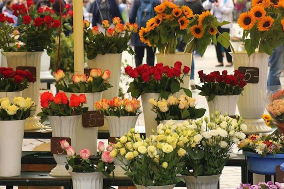 Flores en exposición