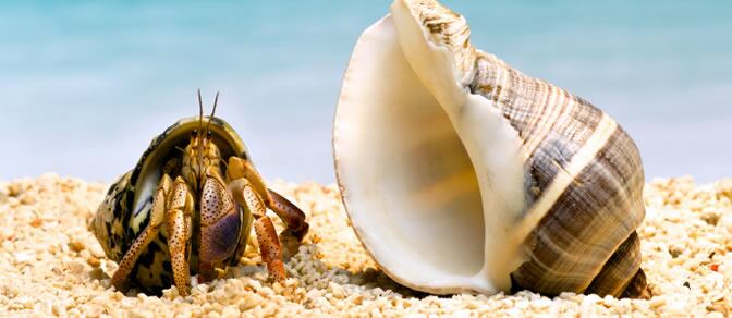 Día nublado en Galicia, Asturias y algunas zonas del Pirineo