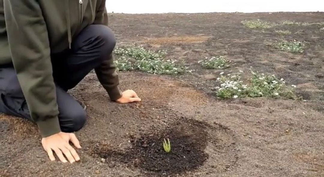 Uno de los objetivos que persigue Arrecife Natura es que &quot;la ciudad sea un espacio mucho más integrado con la naturaleza, y los residentes puedan disfrutar de esa belleza&quot;.