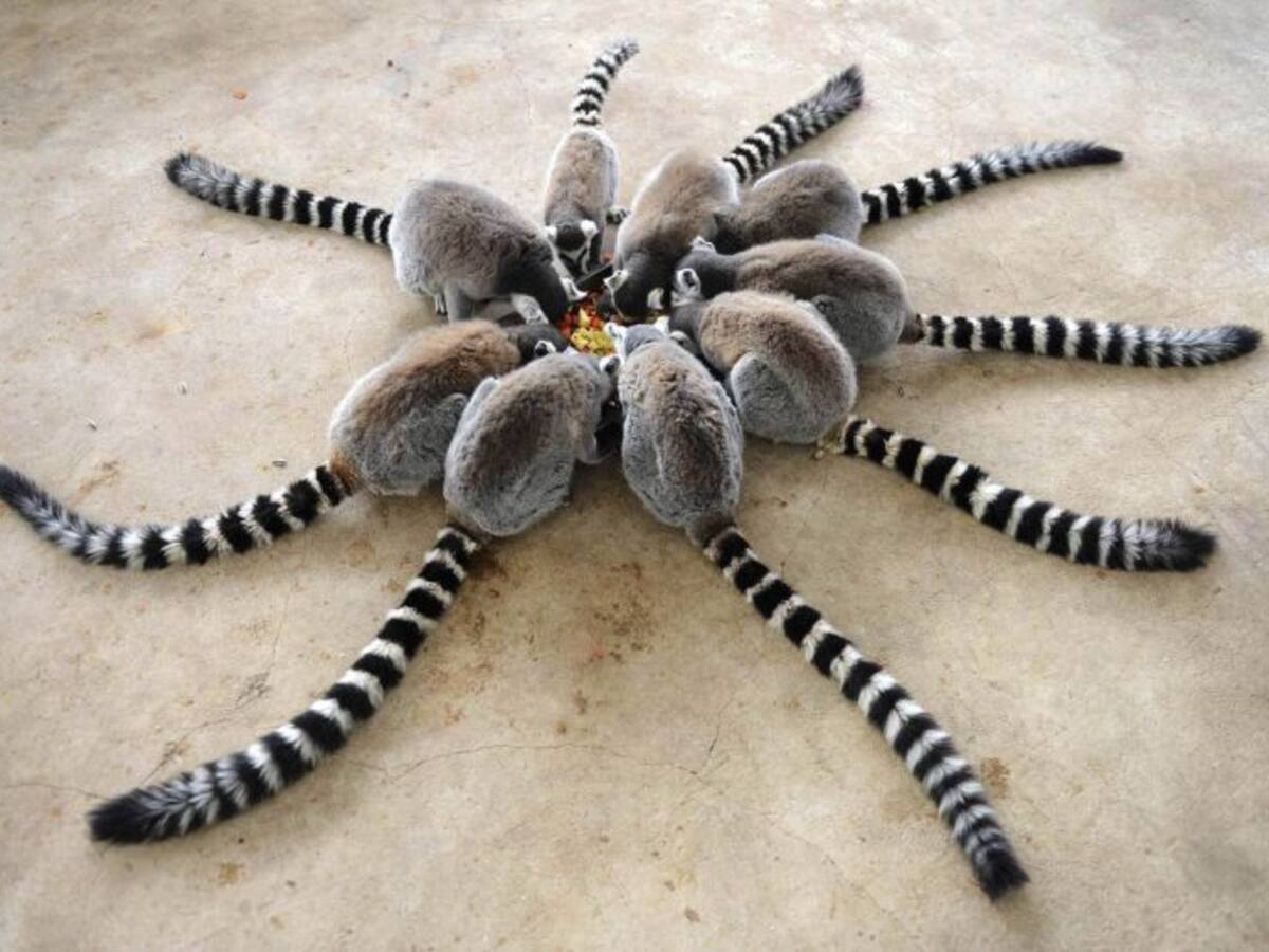 Las mejores fotos de la semana | 29-01-2015