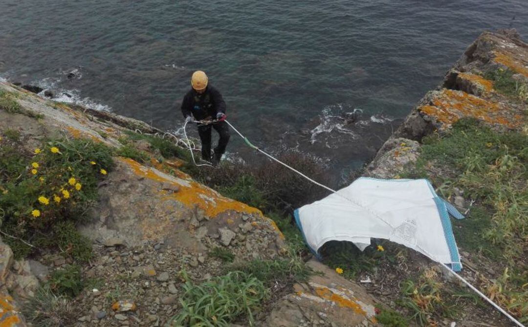 Algunas de estas plantas invasoras deben extirparse  de los acantilados de la Isla.