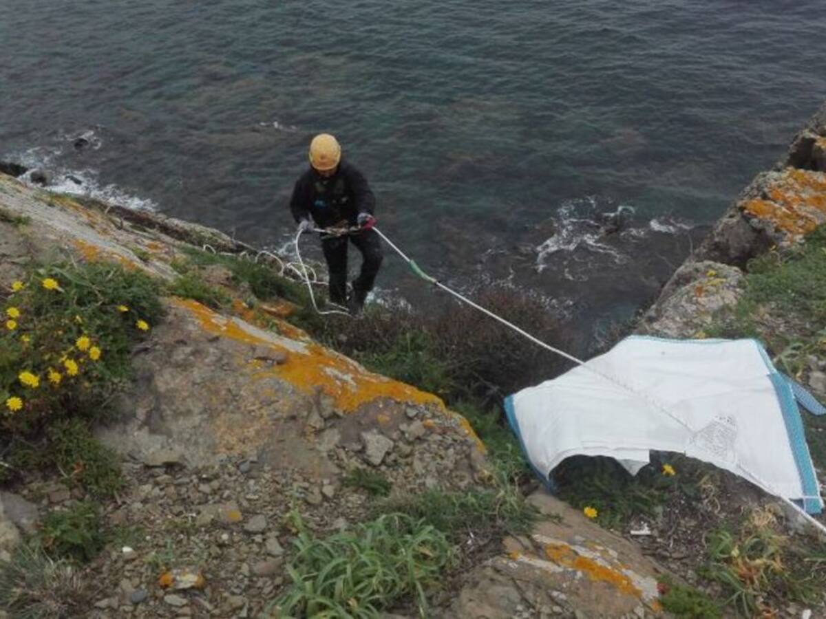 El Consell retira 25 toneladas de plantas invasoras