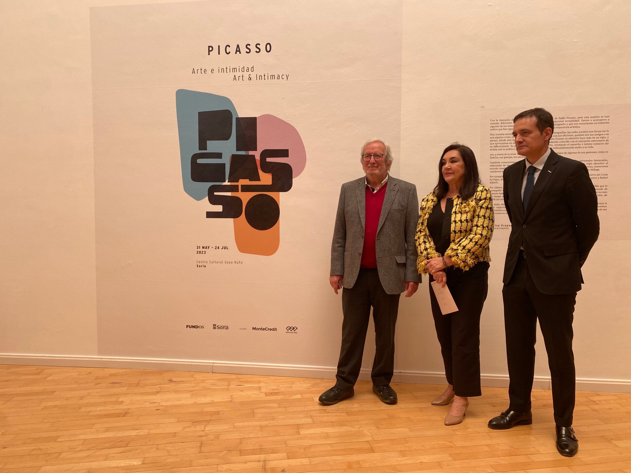 ‘Picasso. Arte e intimidad’