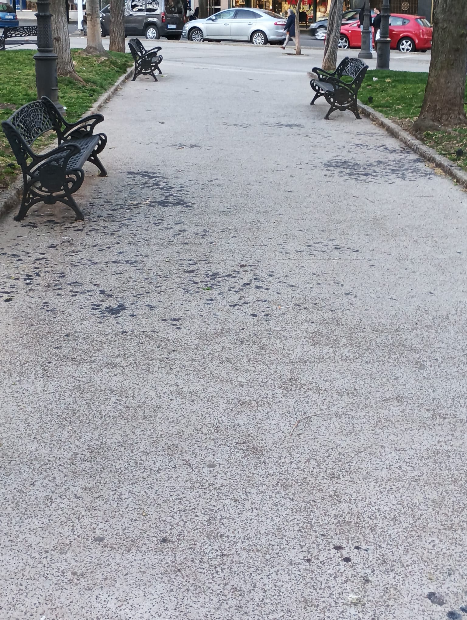 Paseo San Gregorio con numerosas deposiciones de aves