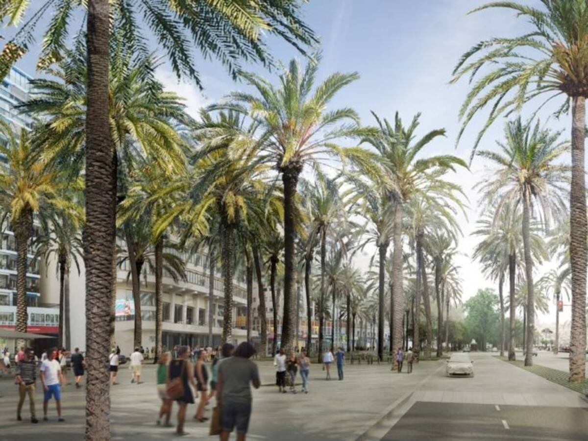 El Consejo de Ministros aprueba hoy la reforma del Paseo Marítimo de Palma