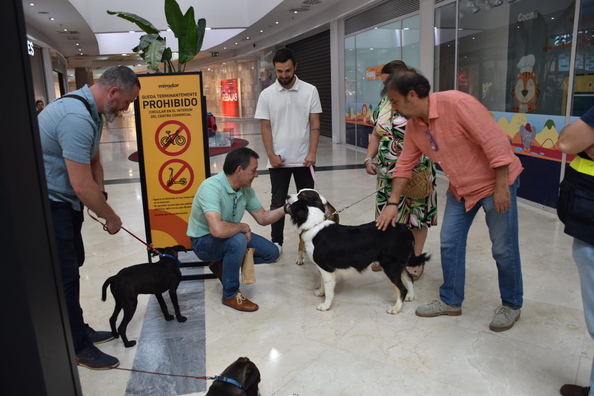 La campaña para impulsar las adopciones ha comenzado en el Centro Comercial &quot;El Mirador&quot;