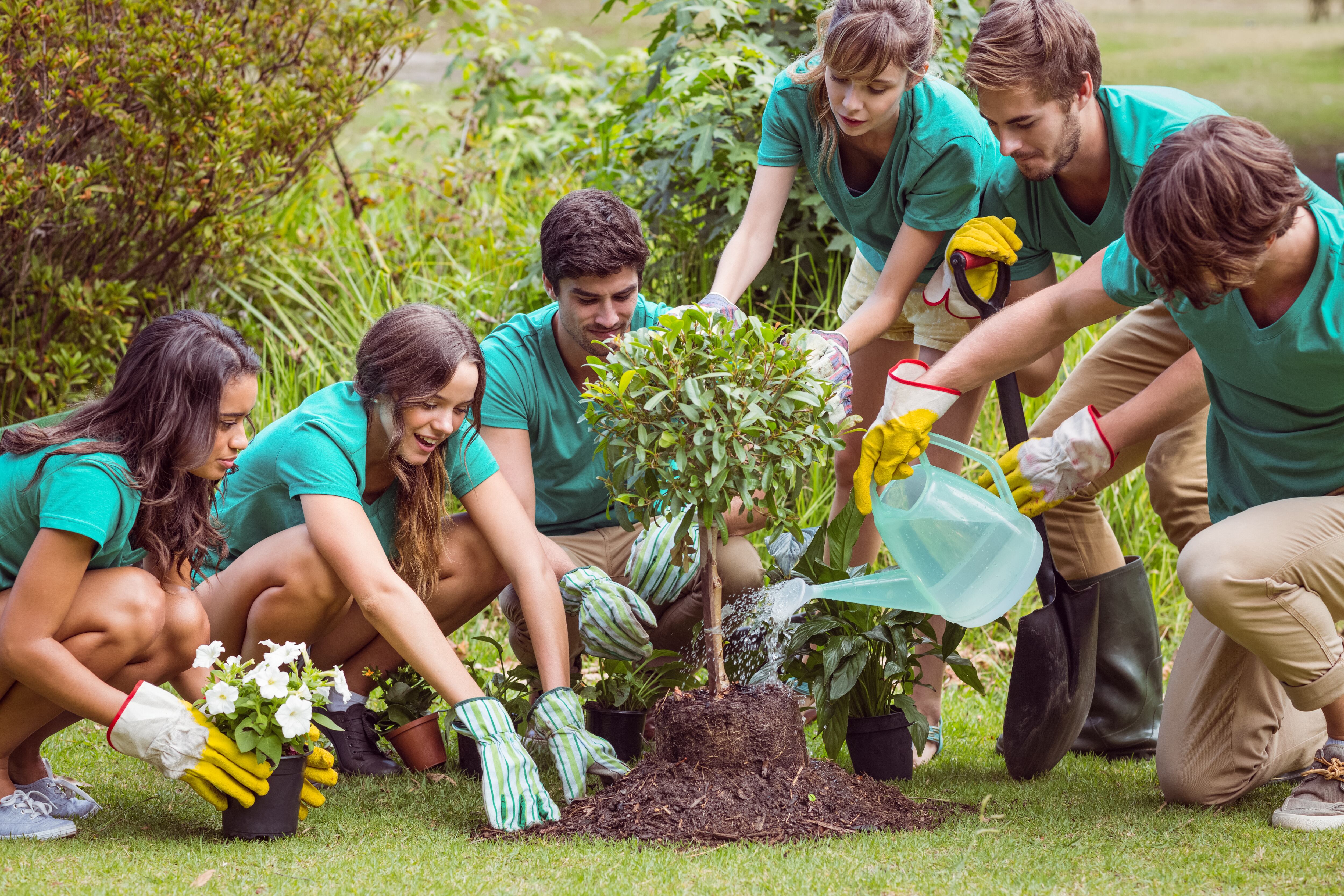 La parroquia de San Juan Bautista promueve una plantación por el Día del Árbol en el Cinturón Verde de Burgos