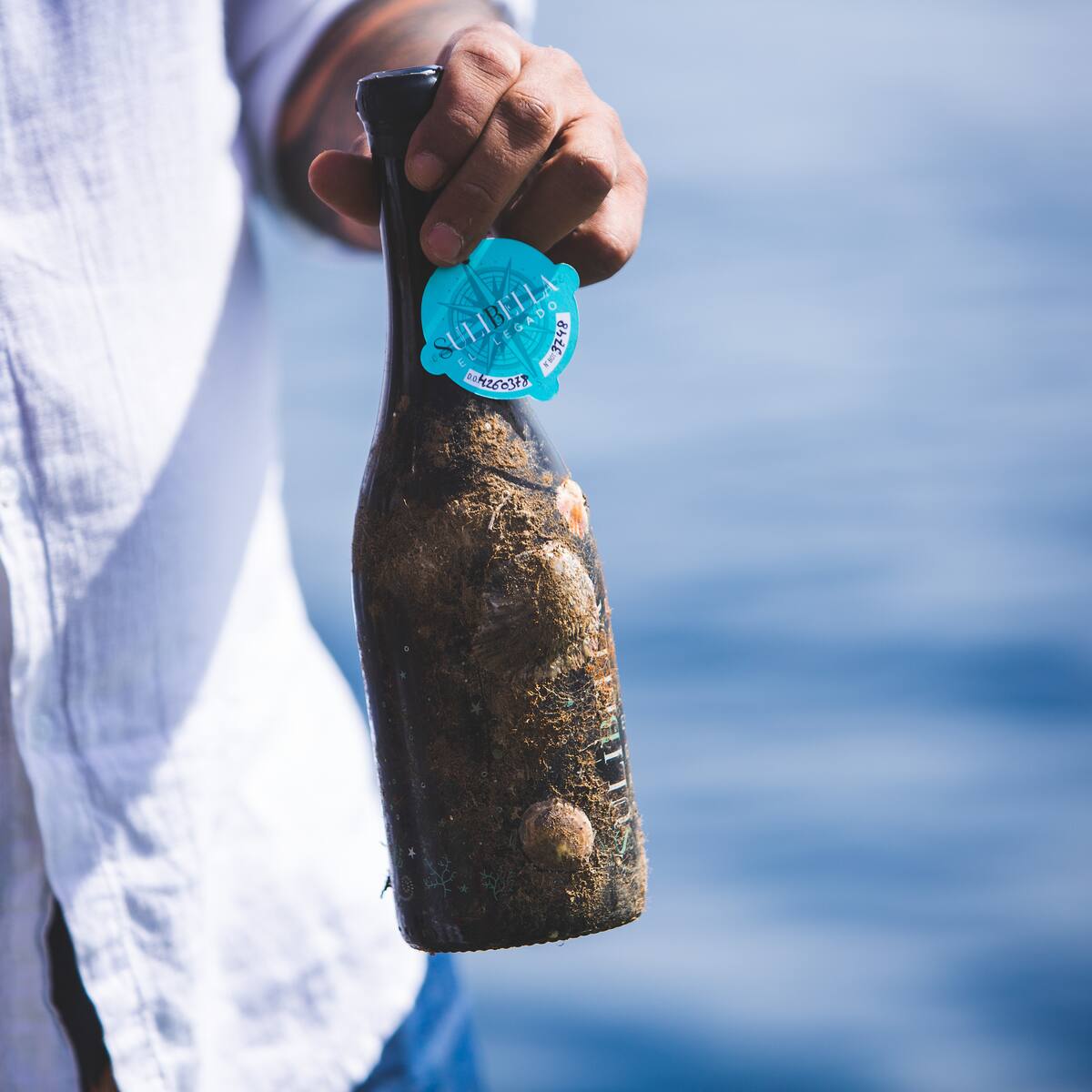 El proyecto de Mar, Gregorio y Miguel consigue el equilibrio perfecto para sus vinos bajo el mar de Escombreras